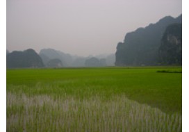 Cuc Phuong National Park - Kenh Ga - Hoa Lu 